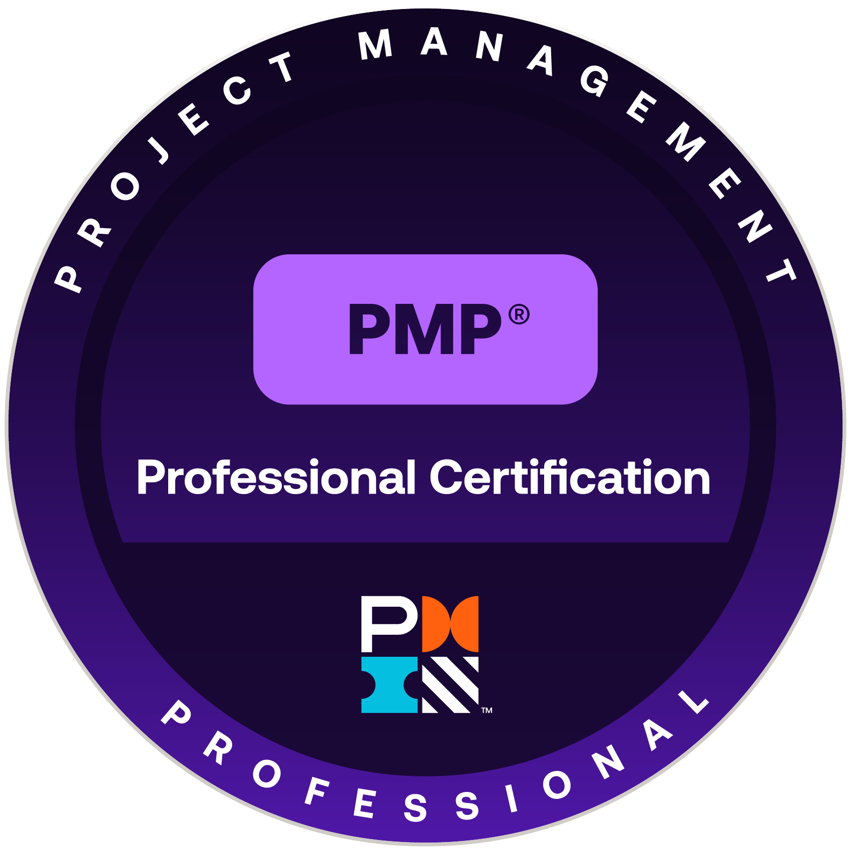 PMI Project Management Professional (PMP)